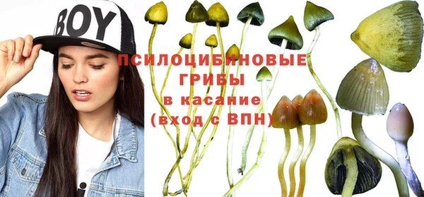 соль ск Баксан